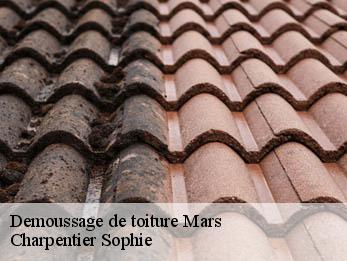 Demoussage de toiture 30120