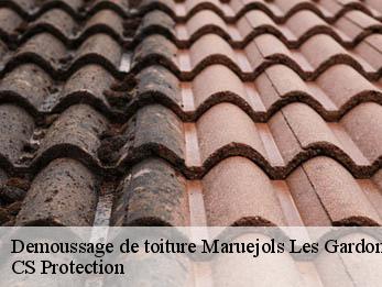 Demoussage de toiture 30350