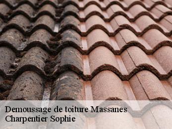 Demoussage de toiture 30350