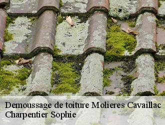 Demoussage de toiture  molieres-cavaillac-30120 Charpentier Sophie