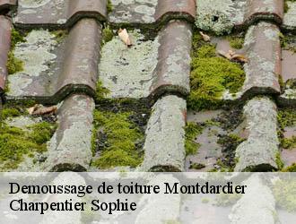 Demoussage de toiture montdardier-30120 Charpentier Sophie
