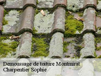 Demoussage de toiture montmirat-30260 Charpentier Sophie