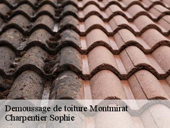 Demoussage de toiture 30260