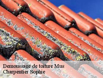 Demoussage de toiture