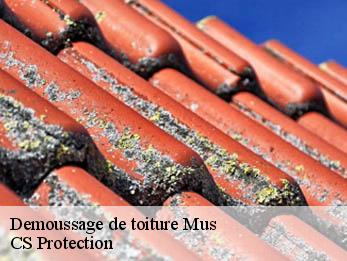 Demoussage de toiture