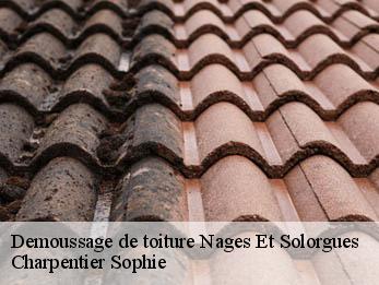 Demoussage de toiture  30114
