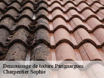 Demoussage de toiture  30730