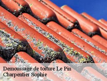 Demoussage de toiture