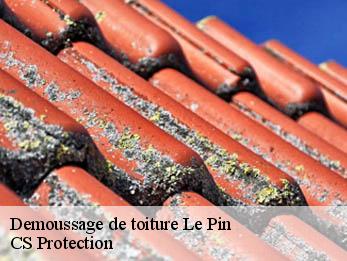 Demoussage de toiture