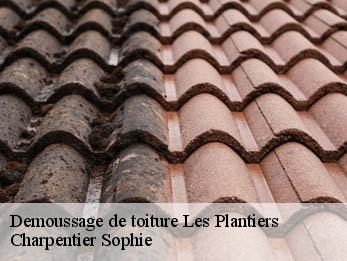 Demoussage de toiture 30122