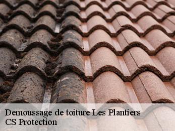 Demoussage de toiture  30122