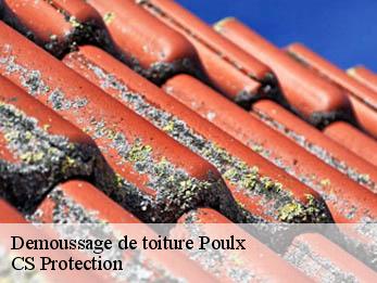 Demoussage de toiture