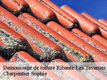 Demoussage de toiture