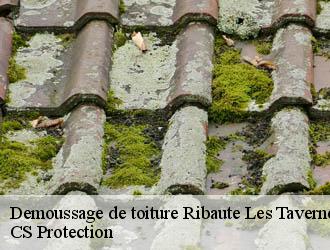 Demoussage de toiture ribaute-les-tavernes-30720 CS Protection