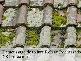 Demoussage de toiture robiac-rochessadoule-30160 CS Protection