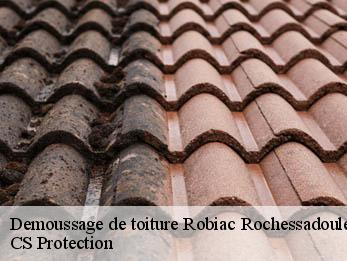 Demoussage de toiture 30160