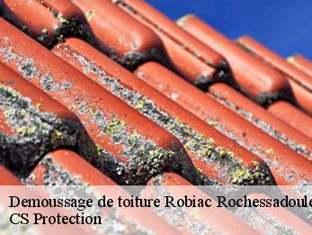 Demoussage de toiture