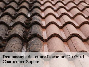 Demoussage de toiture 30650