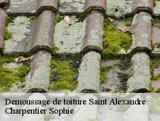 Demoussage de toiture saint-alexandre-30130 Charpentier Sophie