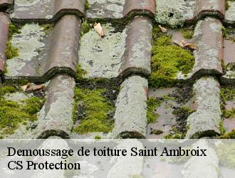 Demoussage de toiture saint-ambroix-30500 CS Protection