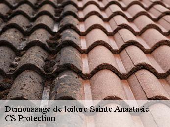 Demoussage de toiture 30190