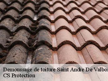 Demoussage de toiture 30940