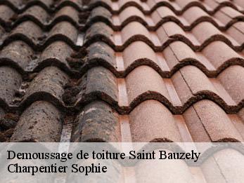 Demoussage de toiture 30730