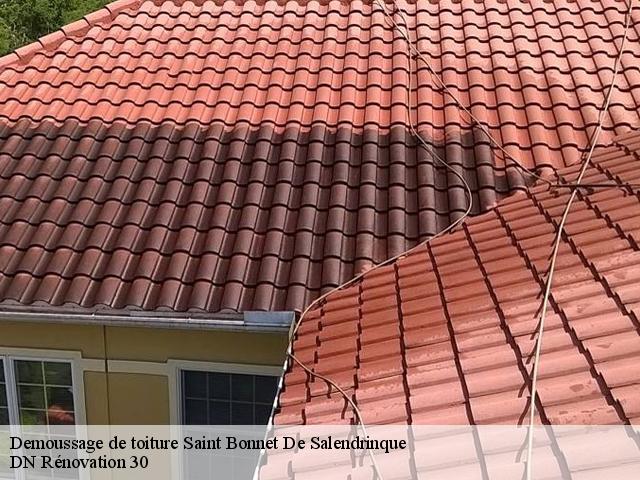 Demoussage de toiture  saint-bonnet-de-salendrinque-30460 DN Rénovation 30