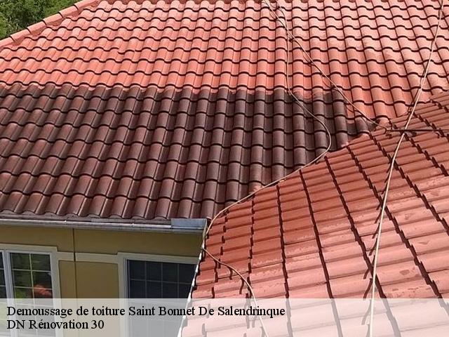 Demoussage de toiture saint-bonnet-de-salendrinque-30460 Rudy couverture