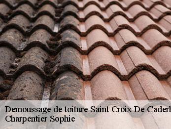 Demoussage de toiture 30460