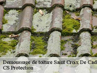 Demoussage de toiture saint-croix-de-caderle-30460 CS Protection