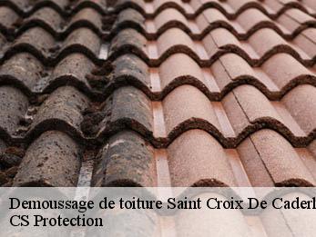 Demoussage de toiture 30460