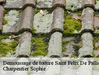 Demoussage de toiture  saint-felix-de-pallieres-30140 Charpentier Sophie