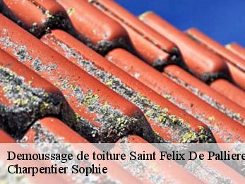 Demoussage de toiture