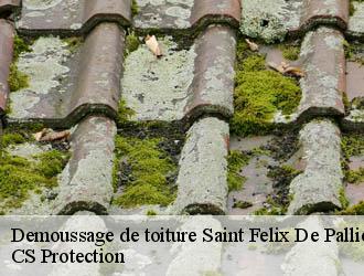 Demoussage de toiture  saint-felix-de-pallieres-30140 CS Protection