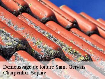 Demoussage de toiture