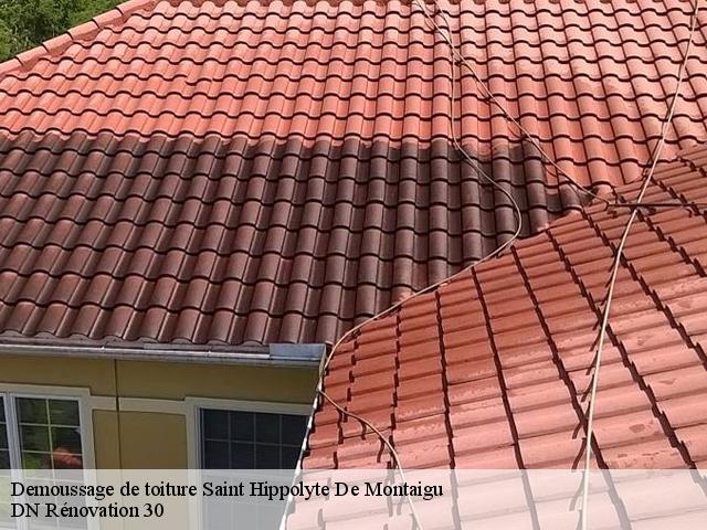 Demoussage de toiture  saint-hippolyte-de-montaigu-30700 DN Rénovation 30
