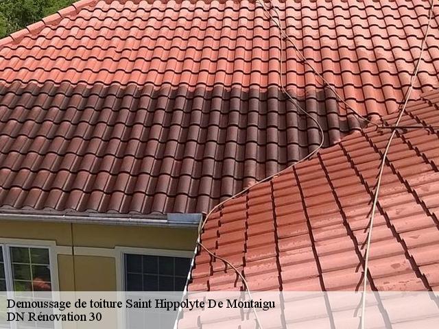 Demoussage de toiture saint-hippolyte-de-montaigu-30700 Rudy couverture