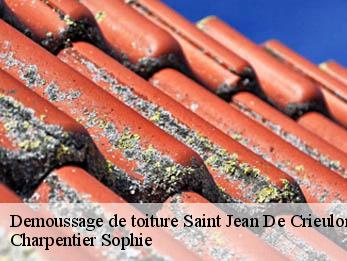 Demoussage de toiture