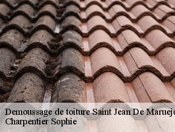 Demoussage de toiture 30430