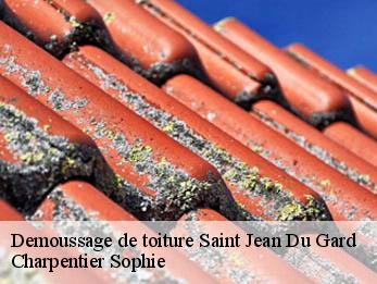 Demoussage de toiture