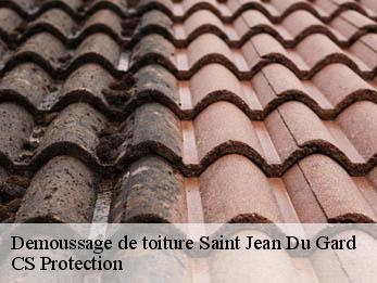 Demoussage de toiture 30270