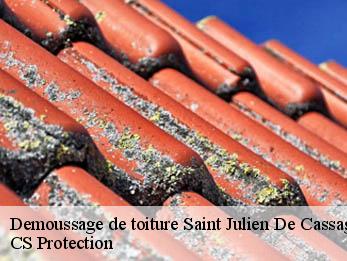 Demoussage de toiture