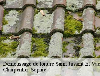 Demoussage de toiture saint-jusaint-et-vacquieres-30580 Charpentier Sophie
