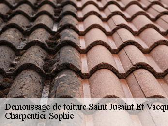 Demoussage de toiture 30580
