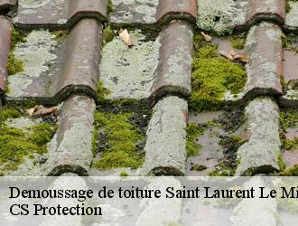 Demoussage de toiture saint-laurent-le-minier-30440 CS Protection