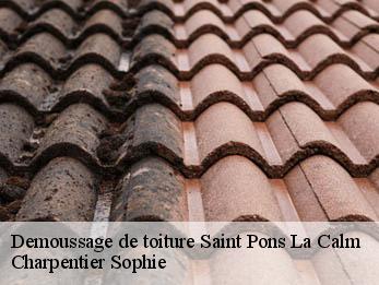 Demoussage de toiture 30330