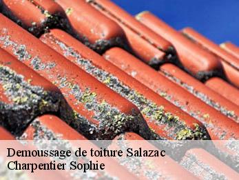 Demoussage de toiture