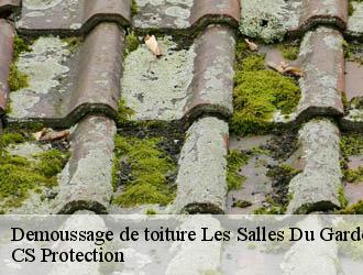 Demoussage de toiture les-salles-du-gardon-30110 CS Protection