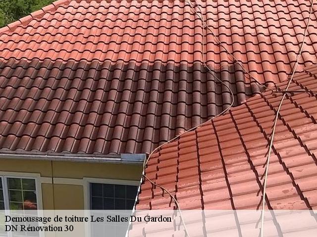 Demoussage de toiture les-salles-du-gardon-30110 DN Rénovation 30